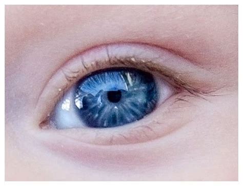 electric blue eye color.